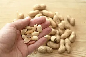Peanut Nutrition Facts Impressions: Peanuts