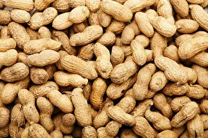 Studio Shot Of Nuts Impressions: Peanuts