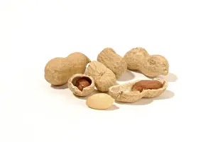 Close Up Peanuts Impressions: Peanuts