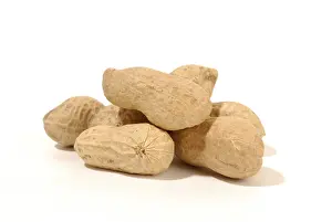 Close Up Peanuts Impressions: Peanuts