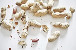 Plant Life Outdoors Impressions: Peanuts