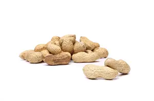 Legume Plant Impressions: Two peanuts in closeup on the peanut background