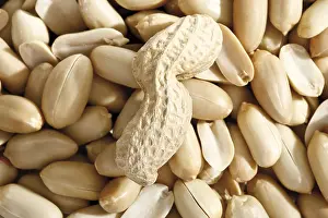 Food Photography Studio Background Impressions: Peanuts, full format