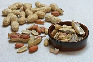 Studio Shot Peanuts Impressions: Peanuts in shell, partially opened, Germany