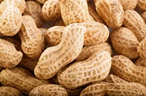 Studio Shot Peanuts Impressions: Peanuts with shells