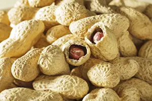 Baked Goods Studio Photo Impressions: Peanuts in shells