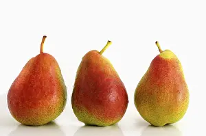 Fresh Pears Impressions: Three pears