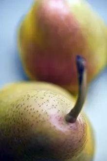 Studio Shot Fruits Impressions: Pears