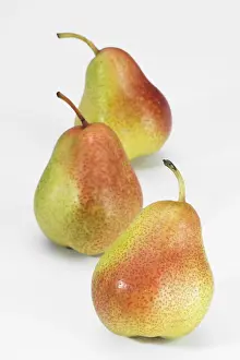 Studio Shot Fruits Impressions: Pears