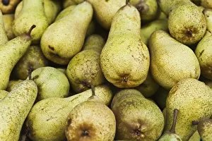Healthy Fruits Impressions: Pears