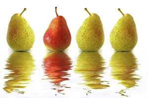 Fruity Still Life Impressions: Four pears, three green, one red, with reflection