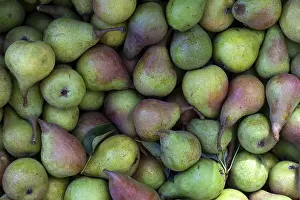 Full Frame Fruit Images Impressions: Pears (Pyrus)