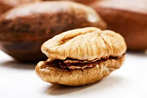 Studio Shot Of Pecans Impressions: Pecans