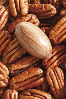 Nutrition Facts Pecans Impressions: Pecans, full format