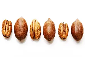 Nutrition Facts Pecans Impressions: Pecans with and without shells