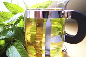 Peppermint Tea Impressions: Peppermint tea