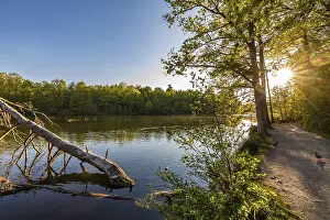 Stuttgart Sunset Impressions: Pfaffensee at sunset, trees, path