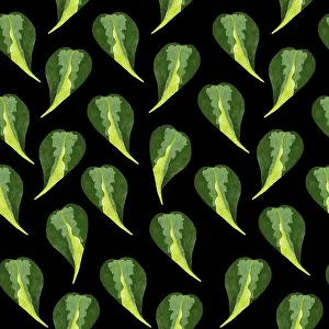 Indoor Leafy Plant Design Impressions: Philodendron seamless pattern