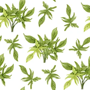 Decorative Indoor Leafy Plants Impressions: Philodendron seamless pattern