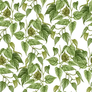 Seamless Pattern Design Impressions: Philodendron seamless pattern