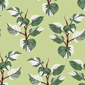 Plantes En Pot Impressions: Motif de Philodendron sans défaut.