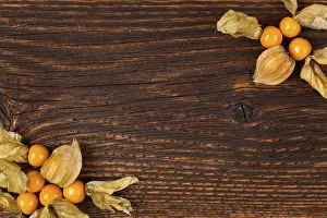 Agricultural Produce Impressions: Physalis background with copyspace