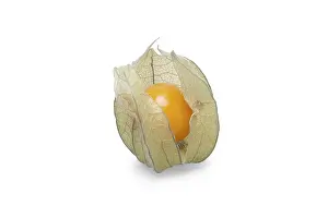 Weight Loss Diet Impressions: One physalis with shadow on white background