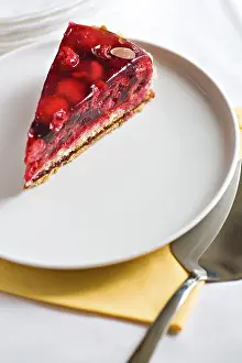 Red Dessert Impressions: A piece of raspberry pie