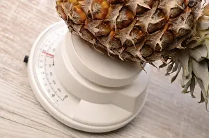 Impressions de Ananas de pin sur une échelle Balance à Ananas Impressions: Ananas de pin sur une échelle.