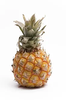 Exotic Fruit Images Impressions: Pineapple
