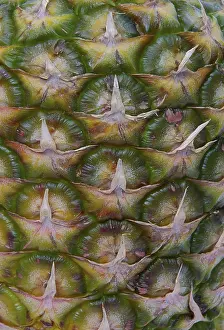 Full Frame Pineapple Photo Impressions: Pineapple, pineapple