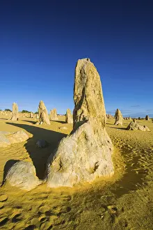 Western Australian Desert Landscape Impressions: The Pinnacles limestone formations