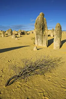 Desert Landscape Photography AUSTRALIA Impressions: The Pinnacles limestone formations