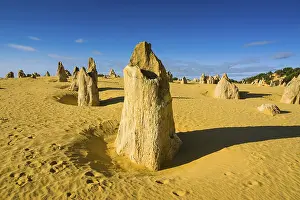 Australian Desert Landscape Photography Impressions: The Pinnacles limestone formations