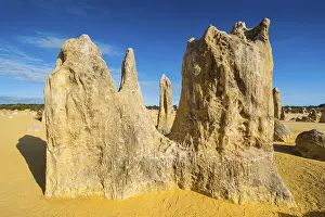 Western Australian Desert Landscape Impressions: The Pinnacles limestone formations