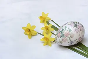 Spring Awakening Impressions: Plastic easter egg and daffodil, Easter