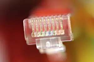 Coloured Network Cables Impressions: Plug of a coloured network cables for computer