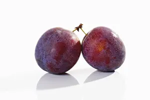 Fresh Plums Impressions: Plums