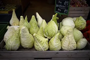 Southern Germany Produce Impressions: Pointed cabbage, pointed cabbage
