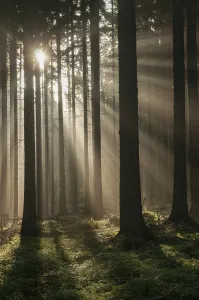 German Countryside Scenery Impressions: Pollwitzer Wald, Thuringia