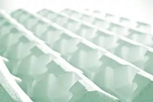 Detailed Still Life Image Impressions: Polystyrene structure