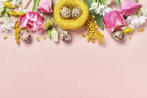 Easter Composition Impressions: Easter creative composition. Spring flowers