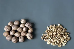 Dried Fruit Nutrition Impressions: Walnuts with hard shell and Kernel