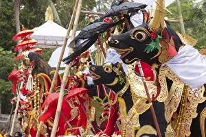 Bali Travel Photography Impressions: Preparing for a corpse cremation