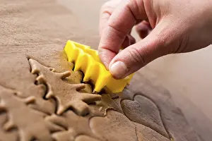 Homemade Gingerbread Recipe Impressions: Preparing easter gingerbread cookies