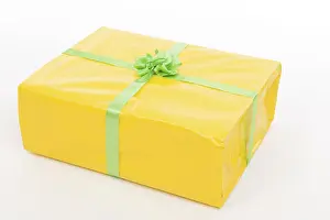 Christmas Gift Impressions: Present