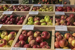 German Fruit Photography Impressions: Presentation of different apple varieties