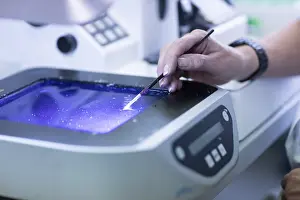 No People In Lab Impressions: Processing of samples in a histology laboratory