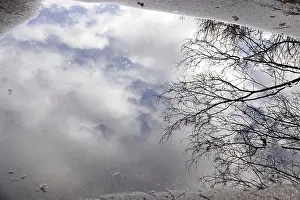 European Winter Scenes Impressions: Puddle with reflection, Winter, Germany