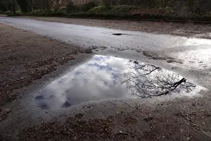 Central Europe Deserted Waterfront Impressions: Puddle with reflection, Winter, Germany